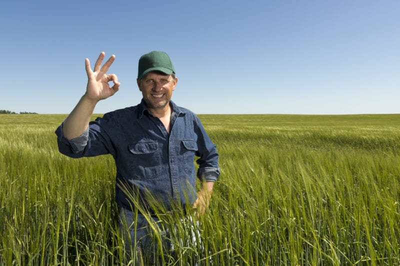 A farmer standing in his field giving a postive okay sign.