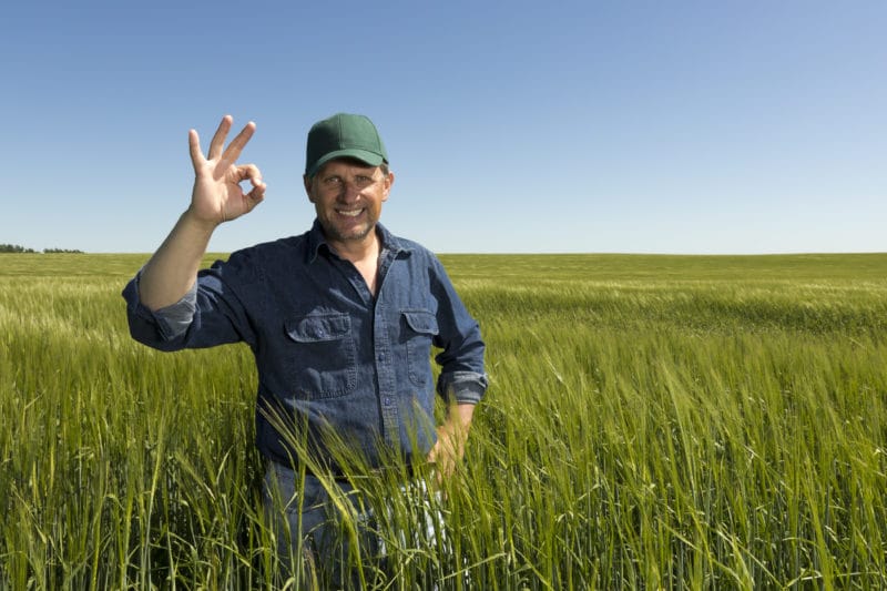 Farming's A-OK A farmer standing in his field giving a postive okay sign.