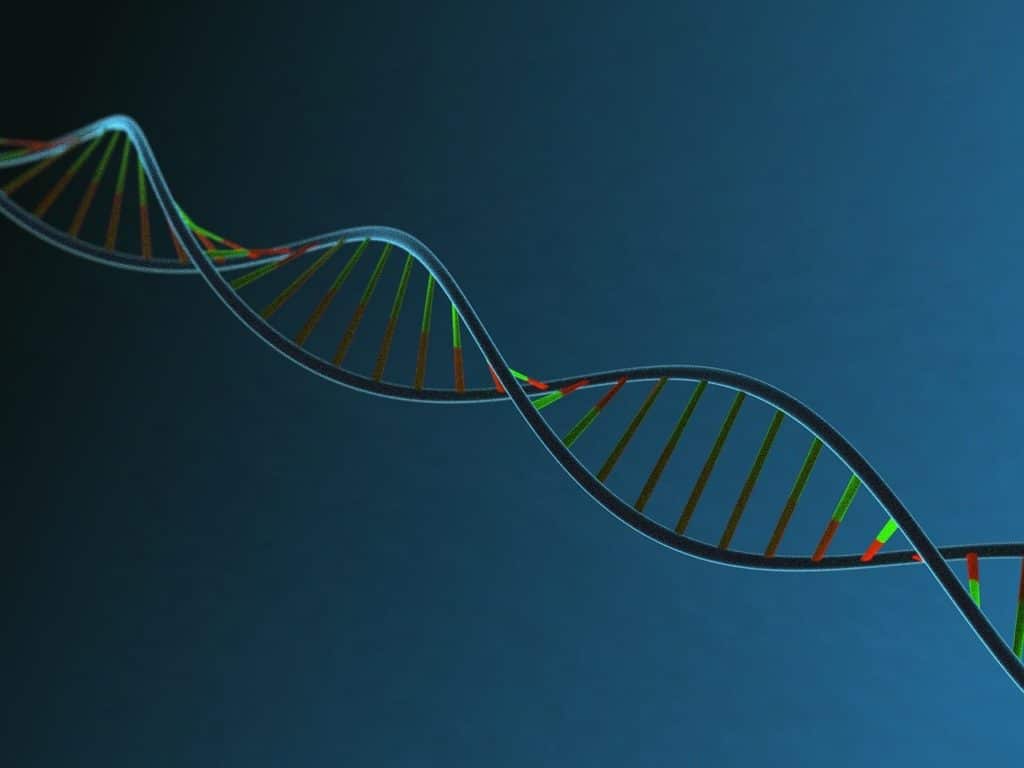 DNA-Strang DNA strand