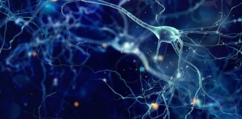 neuron neuron