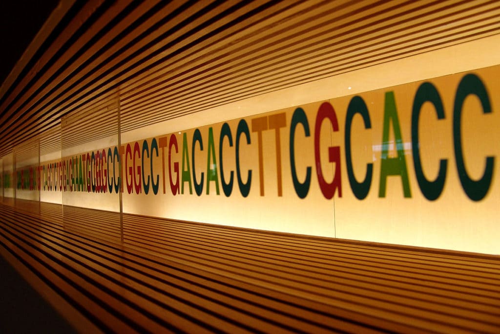 Genetic sequence