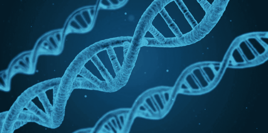 ADN DNA