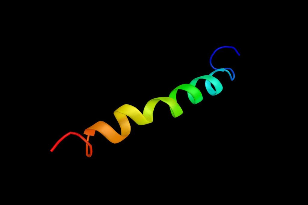 TDP43 protein